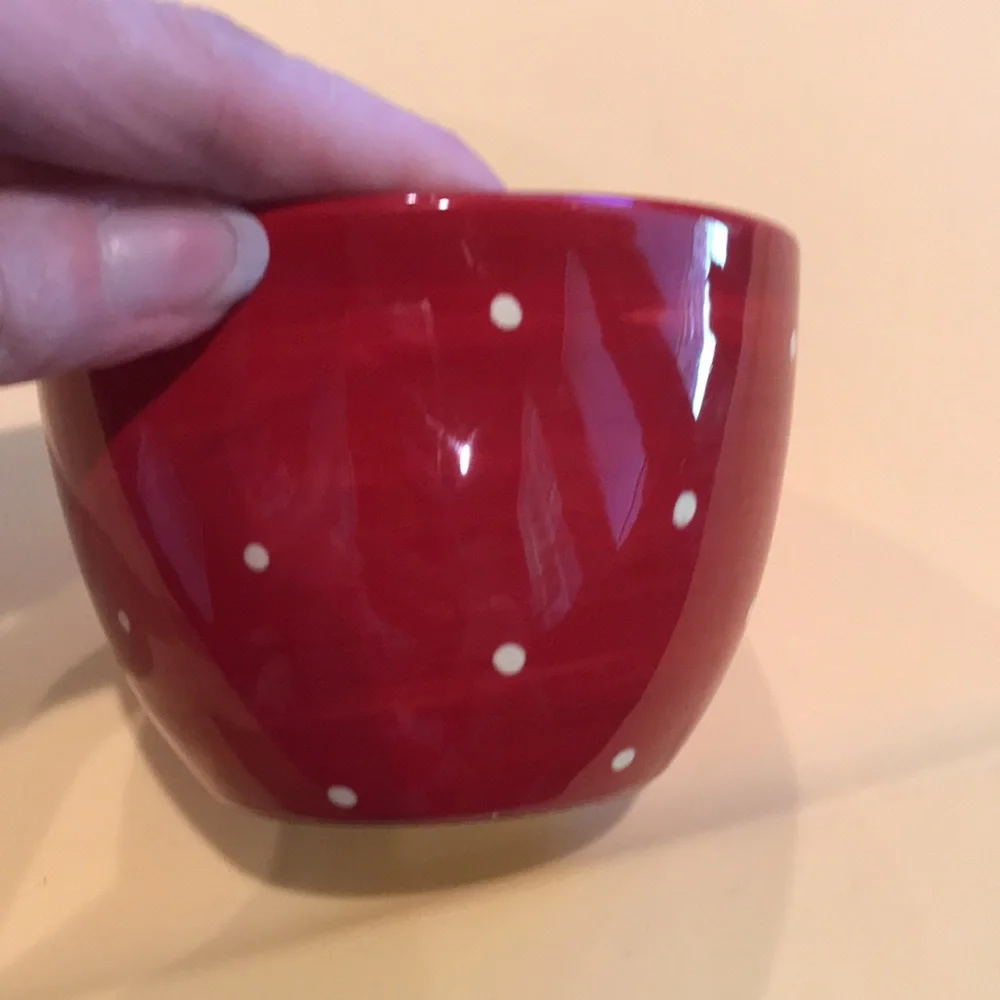 Pier 1 Bowls Hand Painted Earthenware Owl Bowl & Red Bowl